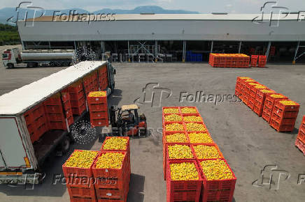 Trump tariffs worry Greek peach producers