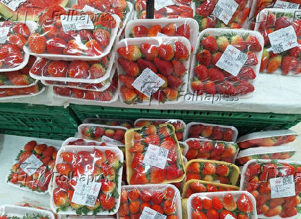 Preço do Morango dispara sos supermercados
