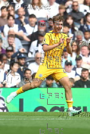 English Premier League - Tottenham Hotspur vs Brighton & Hove Albion