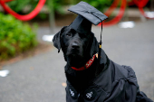 Commencement ceremonies at Harvard University in Cambridge