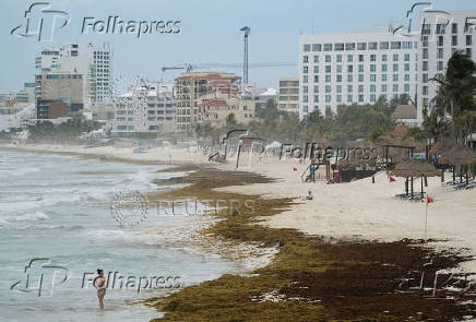 Sargassum seaweed season in Cancun