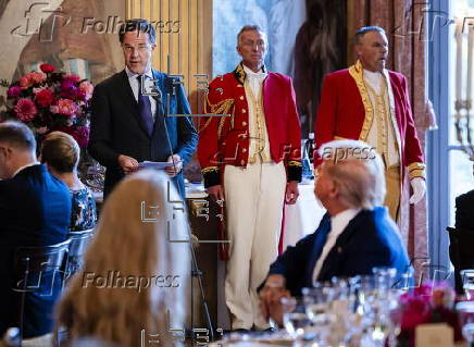 Dutch King Willem-Alexander invites NATO Summit government leaders to dinner