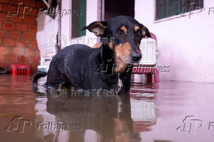 Heavy rains in Puerto Carreno