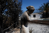 Aftermath of a wildfire in Casarrubios del Monte
