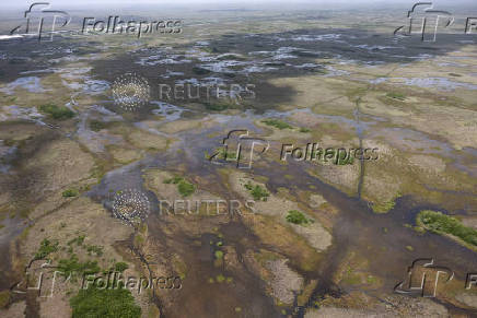 An aerial view of the Everglades