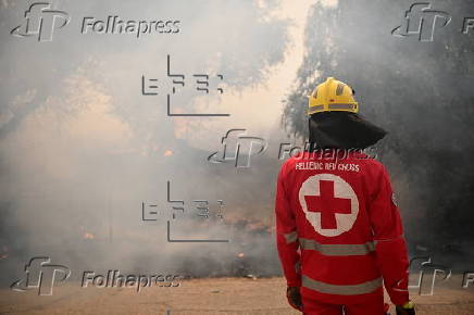 Wildfire in Greece's Peloponnese region