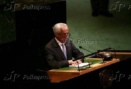 conferência internacional de alto nível para a solução pacífica da questão da Palestina e a implementação da solução de dois Estados.