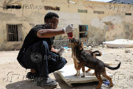 Somali man defies taboo to care for Mogadishu's stray dogs and cats