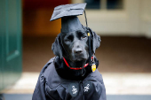 Commencement ceremonies at Harvard University in Cambridge
