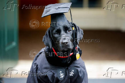 Commencement ceremonies at Harvard University in Cambridge