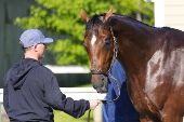Horse Racing: Belmont Stakes-Workouts