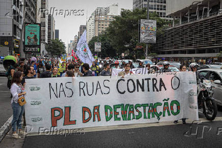 Manifestação pelo Clima Av. Paulista