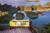 La minería de níquel amenaza un oasis de vida marina en Indonesia, según Greenpeace