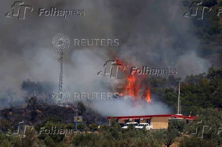 Wildfire in Delvina
