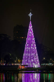 Inauguração da árvore de Natal do parque Ibirapuera