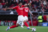 Liga Portugal - Benfica vs Farense