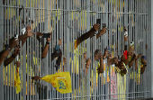 Indian Premier League - IPL - Chennai Super Kings v Sunrisers Hyderabad