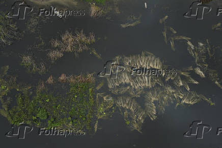 AMAZONAS, CHEIA DO RIO SOLIMOES