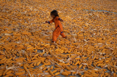 Girl walks past harvested corn during heatwave in Daska