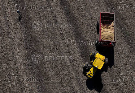 FILE PHOTO: Argentine farmers hurry up to bring in soy with more rains on horizon