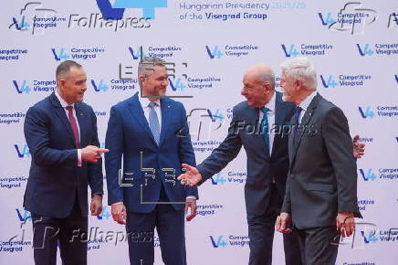 Visegrad Group Head of States Summit in Hungary