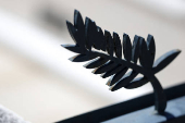 The 78th Cannes Film Festival - The Palme d'Or symbol