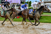 Horse Racing: Black-Eyed Susan