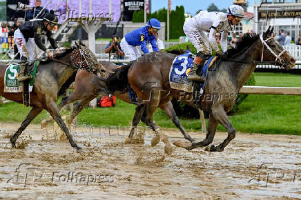 Horse Racing: Black-Eyed Susan