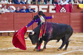 FERIA DEL CABALLO DE JEREZ