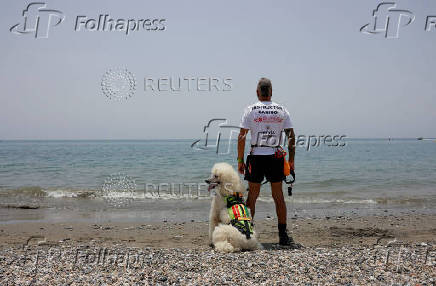 Nilo, a Standard Poodle dog, uncommonly trained to save lives at Las Lindes beach as the latest member added to a dog rescue team, in Torrox