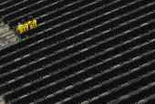 FIFA Club World Cup - Group F - Fluminense v Borussia Dortmund