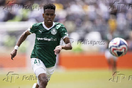 Palmeiras x Botafogo
