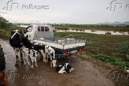 Aftermath of torrential rain in Yesan