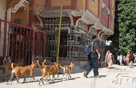 Somali man defies taboo to care for Mogadishu's stray dogs and cats