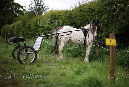 The Appleby Horse Fair in Appleby-in-Westmorland
