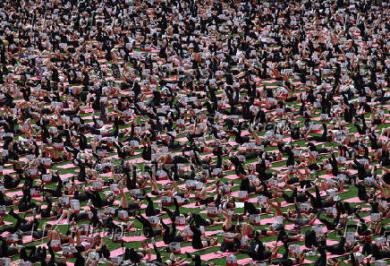 Moscow Sports Day festival