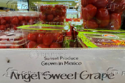 Tomatoes are labelled 