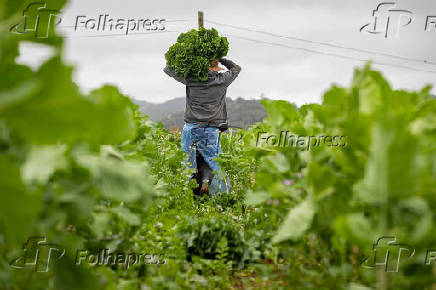 Melhores fotos de Julho