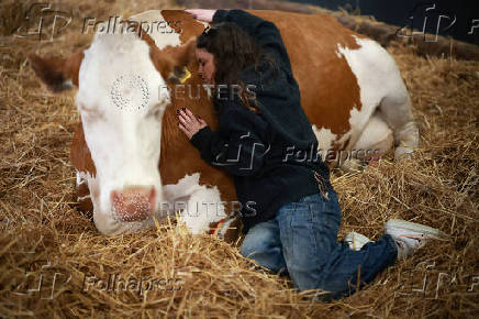 Visitor Jess Tinton embraces a cow during a 