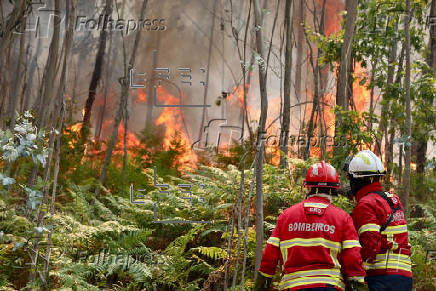 Bomberos intentan que el principal fuego en Portugal, en Arouca, no avance hacia viviendas