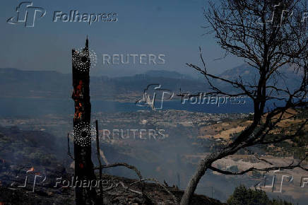Wildfire burns houses, factories forcing evacuations near Patras