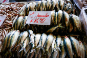 Santa Feira do Peixe no Ceagesp