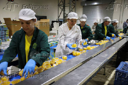 Trump tariffs worry Greek peach producers