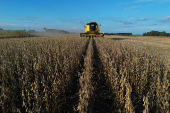 Soybean harvest in Rio Grande do Sul state, Brazil