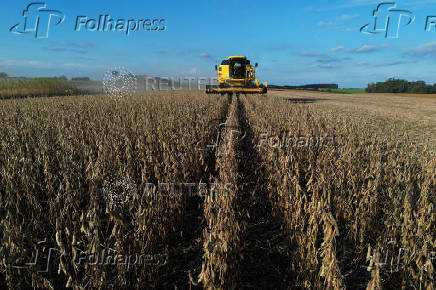 Soybean harvest in Rio Grande do Sul state, Brazil