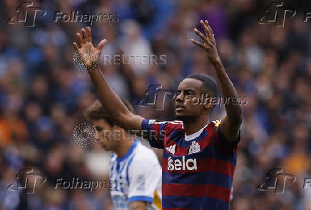 Premier League - Brighton & Hove Albion v Newcastle United