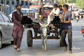 Heatwave grips Pakistan's Punjab province