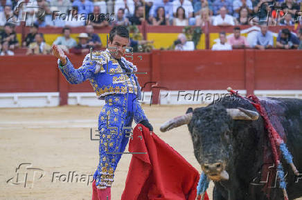 TOROS HOGUERAS ALICANTE