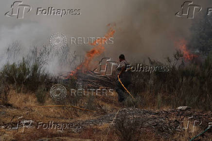 Wildfire in Aguiar da Beira