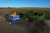 Soybean harvest in Rio Grande do Sul state, Brazil